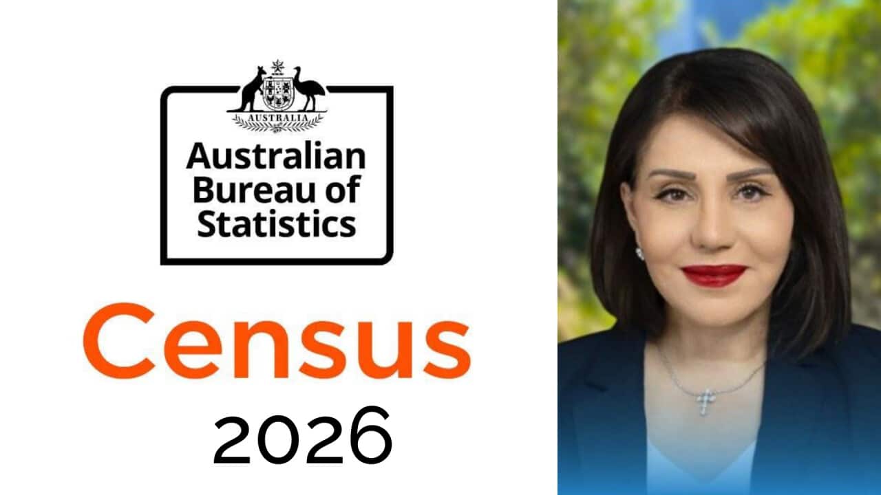 Copy of Copy of PLEASE READ ALC SBS50 CANVA TEMPLATE GUIDE.png