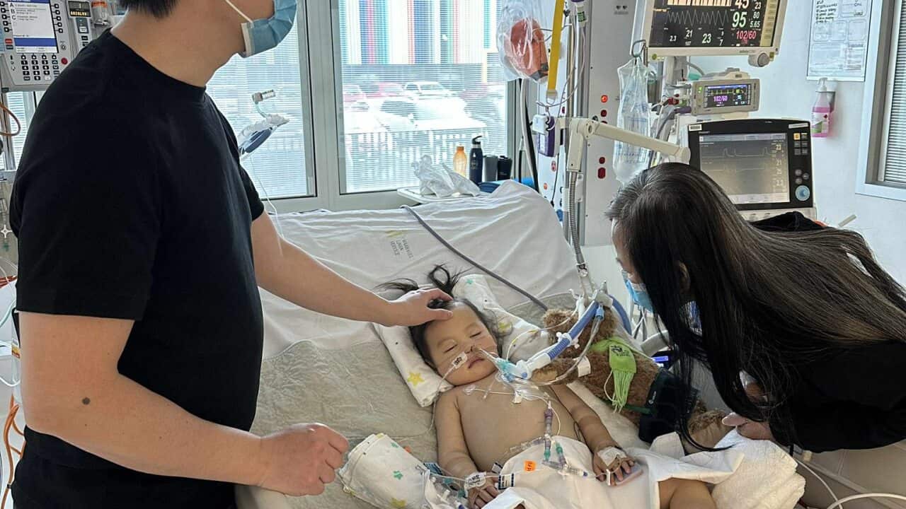 Mavis - Cancer 1.jpg